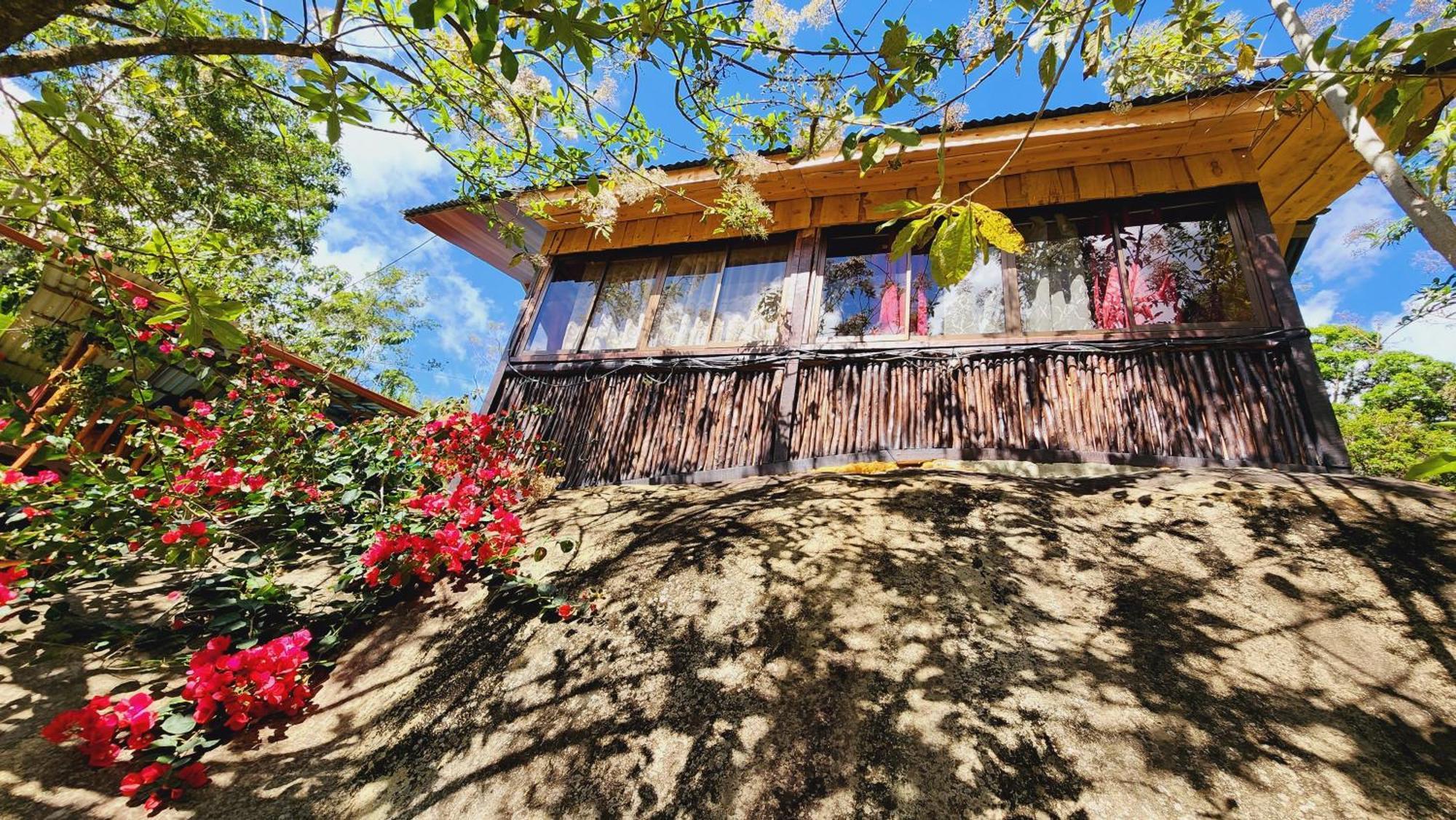 Hospedajes Richie Eco Camp Providencia Exterior photo