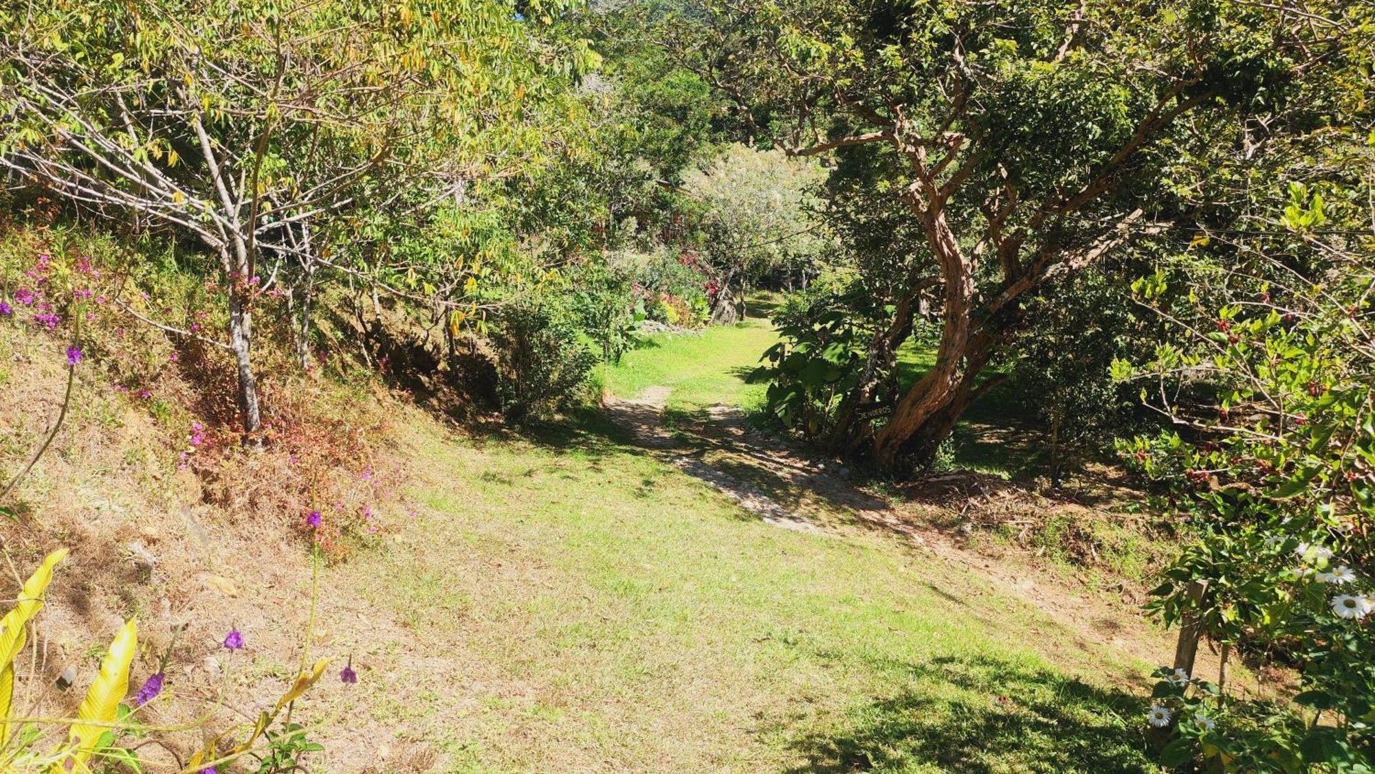 Hospedajes Richie Eco Camp Providencia Exterior photo